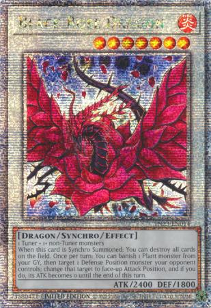 Black Rose Dragon - TN23-EN014 - Quarter Century Rare 1st Edition